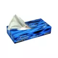Mouchoirs cosmetiques 2 plis blanc (boîte de 100)